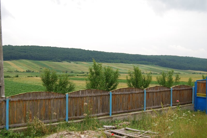 Salcia sat, comuna Argetoaia, jud. Dolj